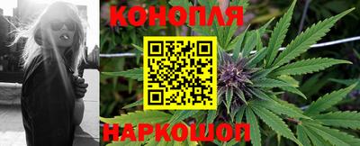 гидропоника Краснодар