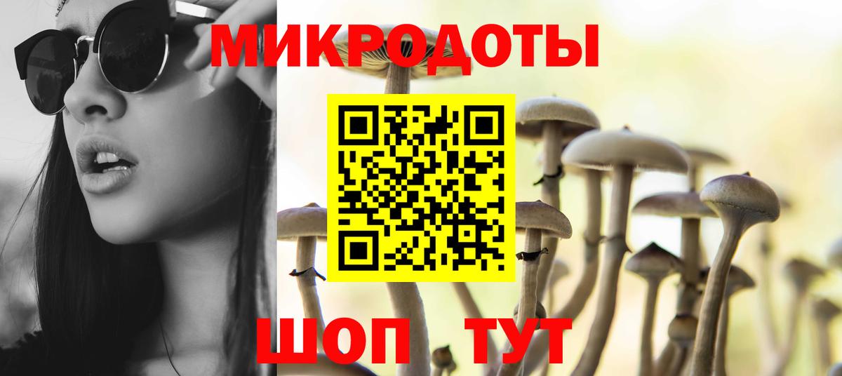Псилоцибиновые грибы Magic Shrooms  Галлюциногенные грибы прущие грибы  Богданович  Вход с VPN 